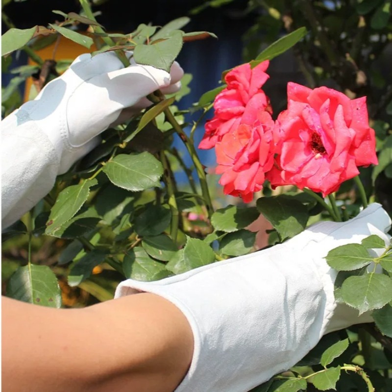 Een paar tuinhandschoenen, doo - Gardening Glove Waterproof recensie en prijs