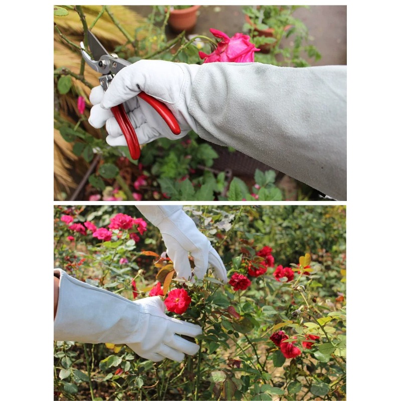 Een paar tuinhandschoenen, doo - Gardening Glove Waterproof recensie en prijs